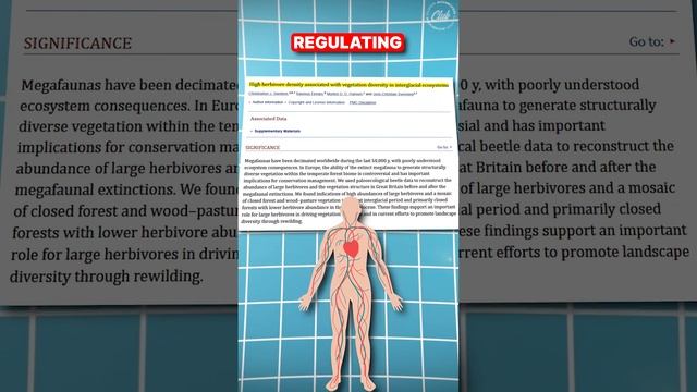 Magnesium Deficiency: What U Need To Know Now! 😳 смотреть онлайн