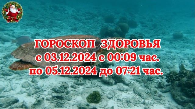 "ГОРОСКОП ЗДОРОВЬЯ с 03.12.2024 по 05.12.2024!!!" смотреть онлайн