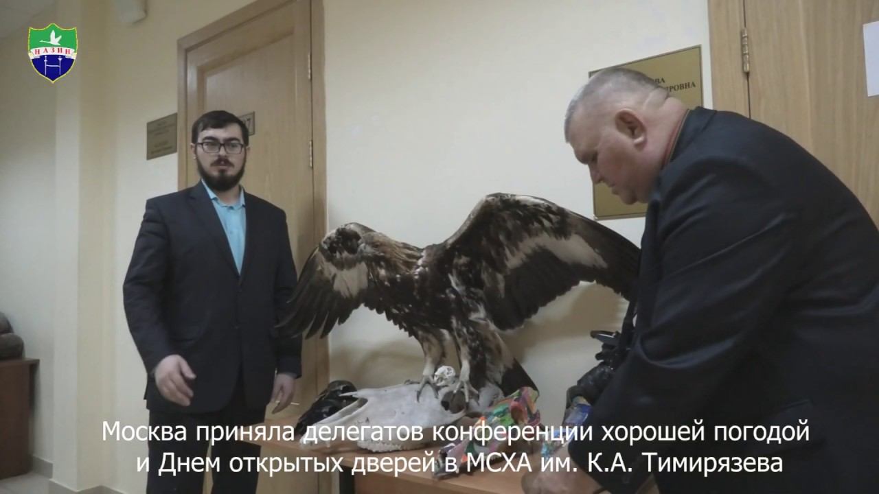 IХ Отчётно-выборная Конференция Союза охраны птиц России смотреть онлайн