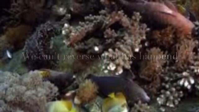 Acidic Ocean PSA