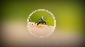 Абдуллох домла марузалари // Abdulloh domla maʼruzalari 2021