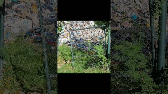 Мусор на Сейшелах