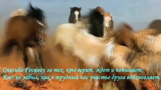 Диалог смотреть онлайн