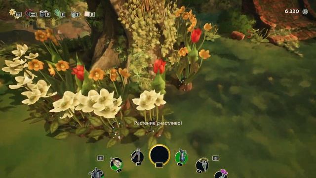 Garden Life. Жизнь в саду. #3, новые виды цветов, шланг для полива