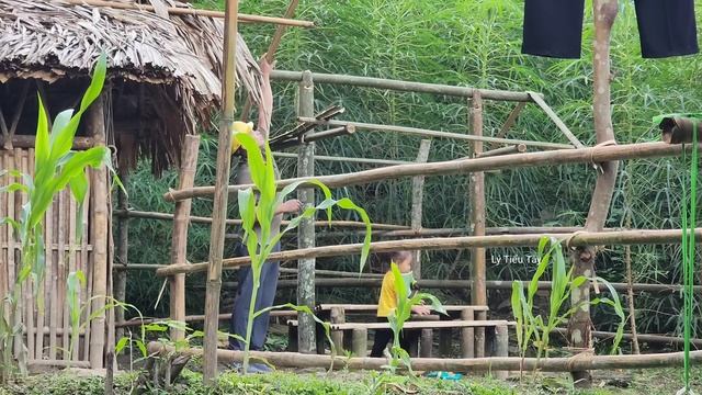 Single Mother: Sick and the Caring Care of a Kind Engineer - Ly Tieu Tay. смотреть онлайн