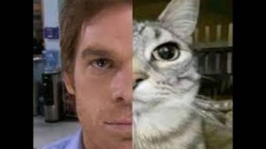 Under your spell - snow strippers (slowed_extended)