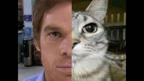 Under your spell - snow strippers (slowed_extended)