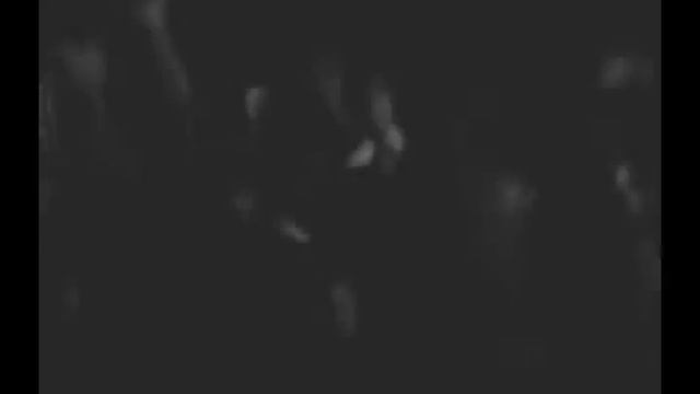 Калевала в Туле. смотреть онлайн