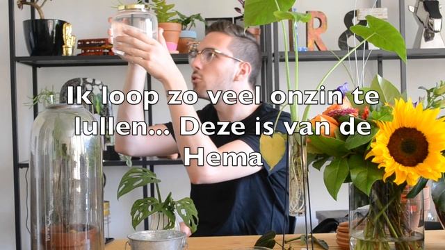 stekjes/Cuttings tour! - Plantenvrouwtje смотреть онлайн