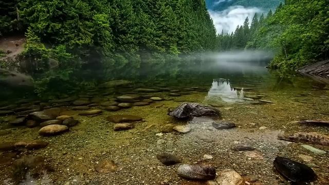 «Я хочу купить самого красивого и дорогого медведя!» - услышала Вероника голос мужчины... смотреть онлайн