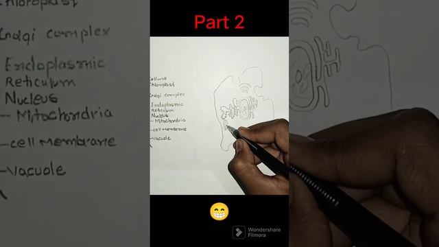 Tu hai to mujhe aur kya chahiye ft cell 🤣🤣🤣 смотреть онлайн