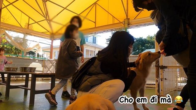Công viên Chó mèo WANWAN LAND cưng xỉu | Mon Japan смотреть онлайн