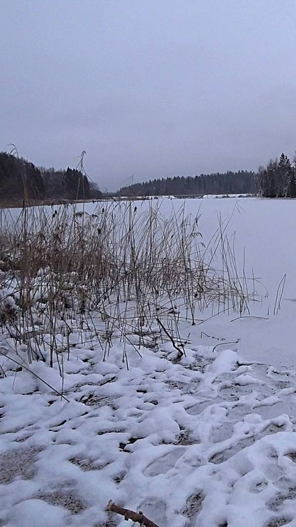 ПЕРВЫЙ ЛЁД. ПЕРВАЯ РЫБКА. смотреть онлайн