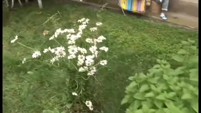 хорошие люди села Жалпаксай смотреть онлайн