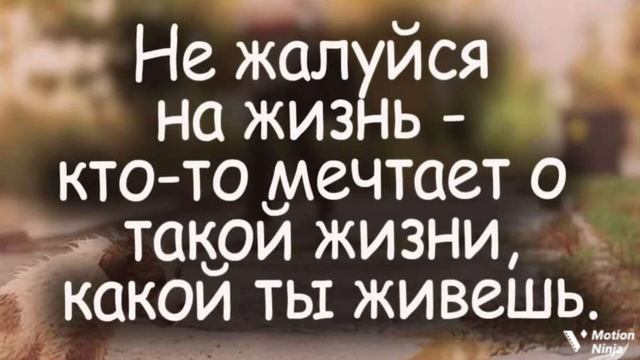 музыка и цитаты про жизнь 1-часть смотреть онлайн