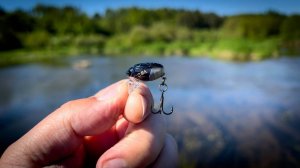 ЭТА ПРИМАНКА СПАСЛА РЫБАЛКУ / ГОЛАВЛЬ НА КРЕНКИ / КАМБЭК В ЛЕТО 2025