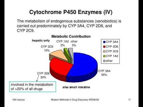 cytochrom p450 polymorphism transporters смотреть онлайн