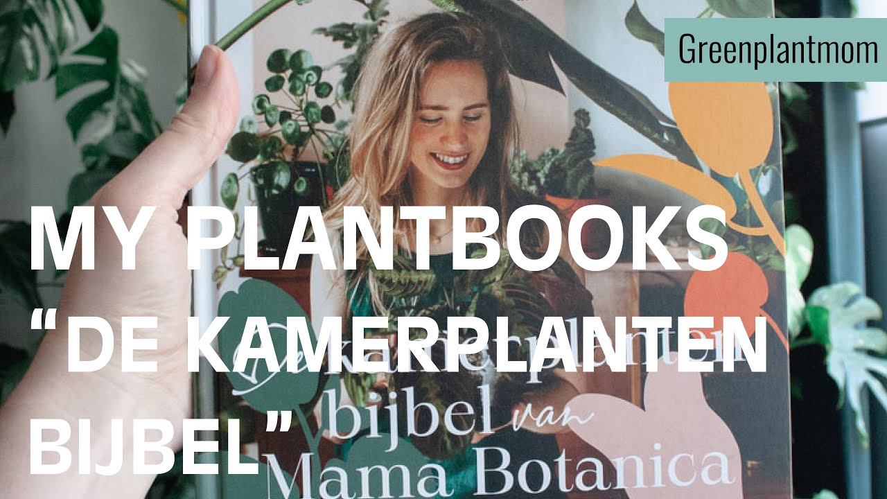 De Kamerplantenbijbel - mama botanica смотреть онлайн