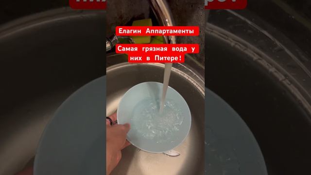 Елагин аппараты самая грязная вода в Санкт-Петербурге! #спб #вода #грязная смотреть онлайн