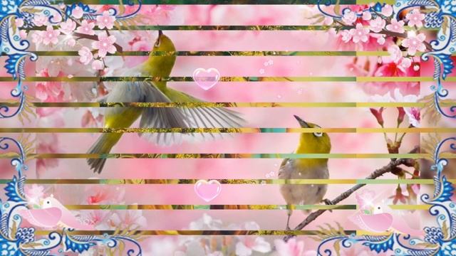 .Подарок весны - Читает Автор смотреть онлайн