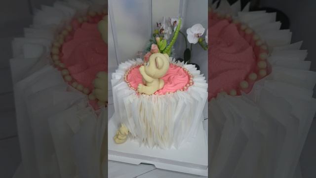 InShot_20241126_125955868.mp4