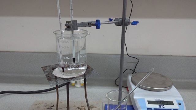 Solubility of potassium nitrate Part 1 C0029 смотреть онлайн