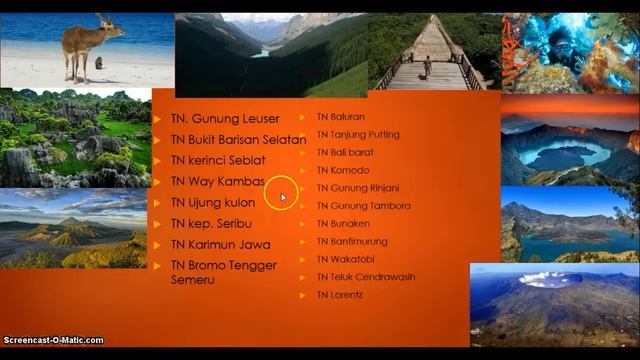 Materi Kelas XI Flora Fauna (sesi 4) смотреть онлайн