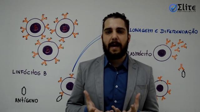 Imunologia (parte 1) - Linfócitos B смотреть онлайн