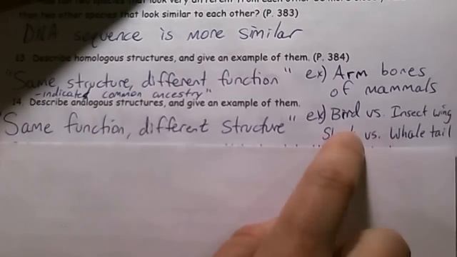 Evolution Study Guide Review смотреть онлайн