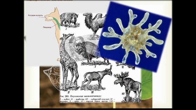 Превью плейлиста смотреть онлайн