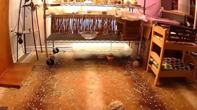 Жизненные истории Я всё для вас сделаю Истории из жизни смотреть онлайн