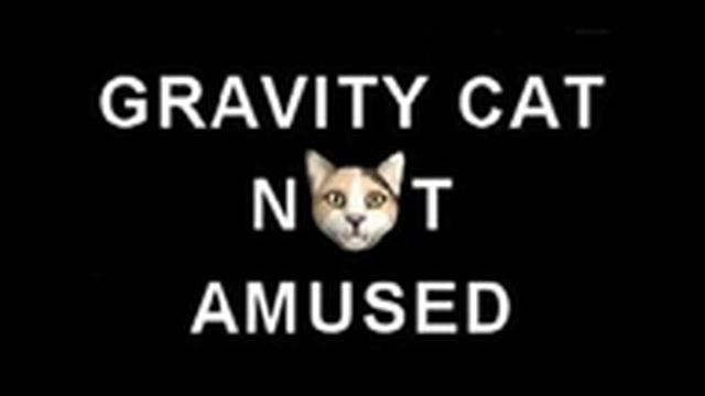 Gravity Cat Not Amused Song смотреть онлайн