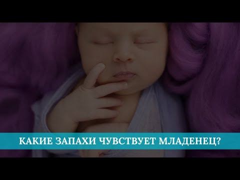 Какие запахи чувствует младенец? смотреть онлайн