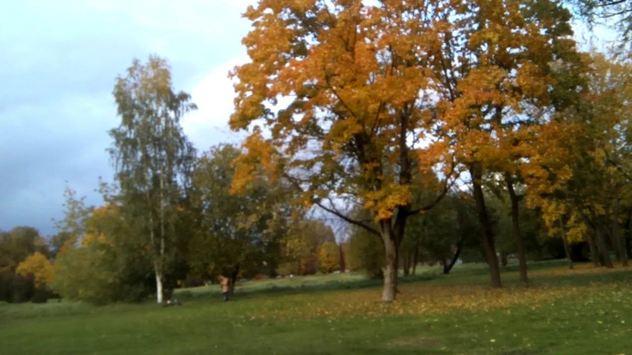 Минусы Минимализма смотреть онлайн