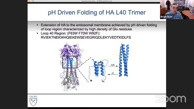 Brian Dyer, 17.5.21- Protein mediated membrane fusion studied by time resolved spectroscopy смотреть онлайн