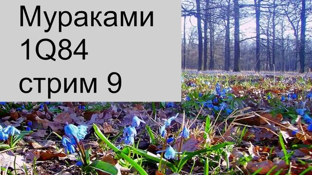 Reading смотреть онлайн