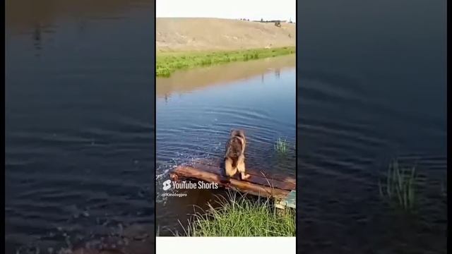 Чистая любовь смотреть онлайн