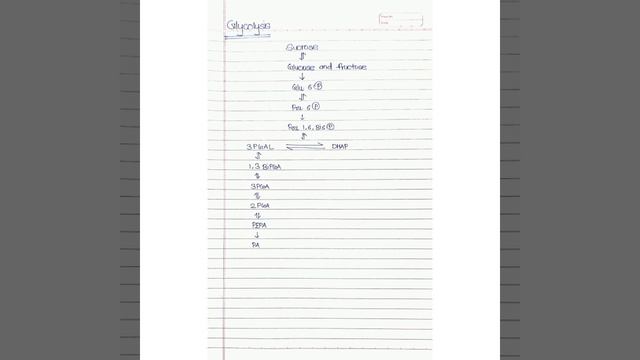 Glycolysis смотреть онлайн