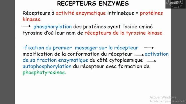 Interactions ligand recepteur смотреть онлайн