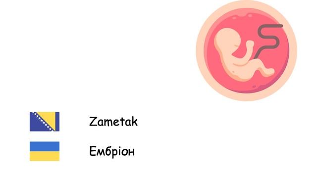 Biologija (Ukrajinski jezik) (bs-uk) смотреть онлайн