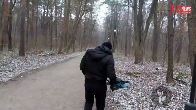 В Северной Осетии активисты соорудили скамейки из упавших деревьев в парке