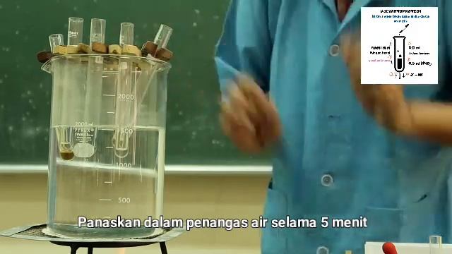 Uji Xantoprotein смотреть онлайн
