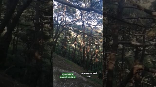 💔М. СЕРРОН #олюбви #читаю #книги #аудиокнига #любовные #любовныеприключения #слушать смотреть онлайн