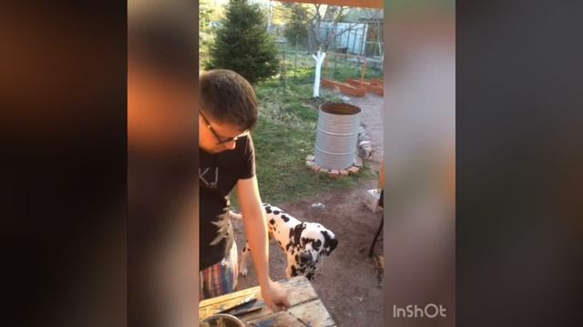 На этих выходных столбик термометра однозначно радовал нас! смотреть онлайн