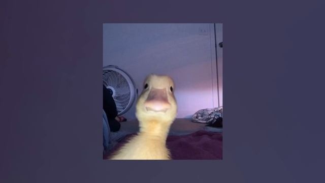 2020-2021 Nostalgia || Playlist ✧ смотреть онлайн
