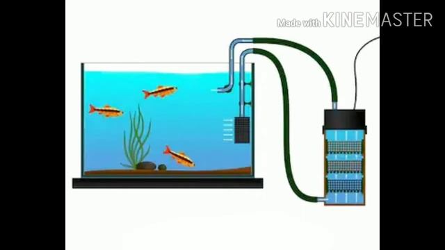 Zakładanie akwarium,cz.3-Sprzęt смотреть онлайн