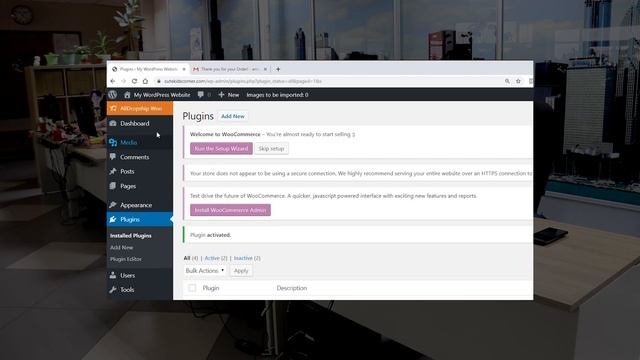 Established Business For Sale - Meet Established Dropshipping Stores By AliDropship