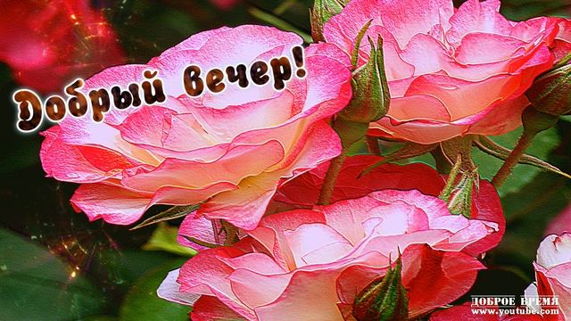 КРАСИВЫЕ ПЕСНИ ОБО ВСЁМ...ДОБРЫЙ ВЕЧЕР!! смотреть онлайн