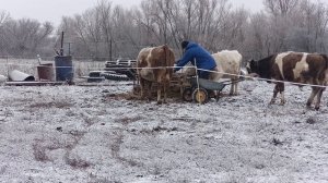 С первым днём зимы!