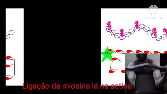 CONTRAÇÃO MUSCULAR - PARODIA DE "MENINA SOLTA" - GIULIA BE (Quebra ATP de novo) смотреть онлайн